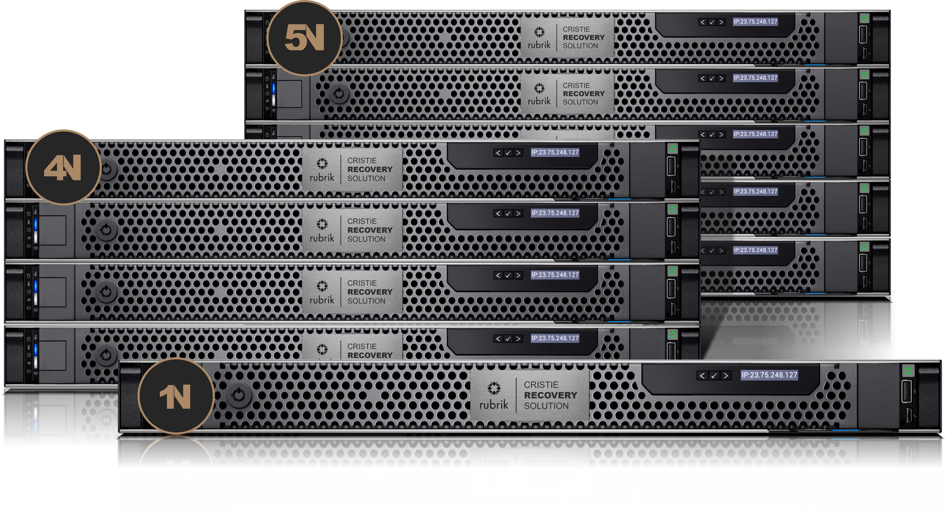 CRS-STD-Fam-Final-Transp-1